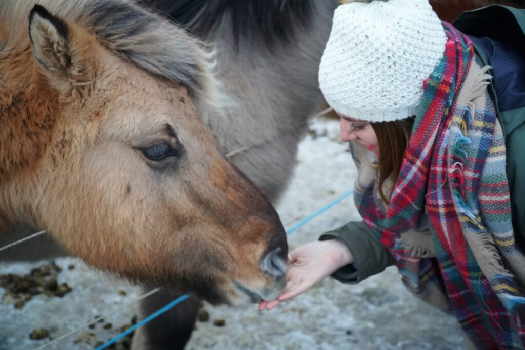 Horseback Riding Date - Romantic Date ideas