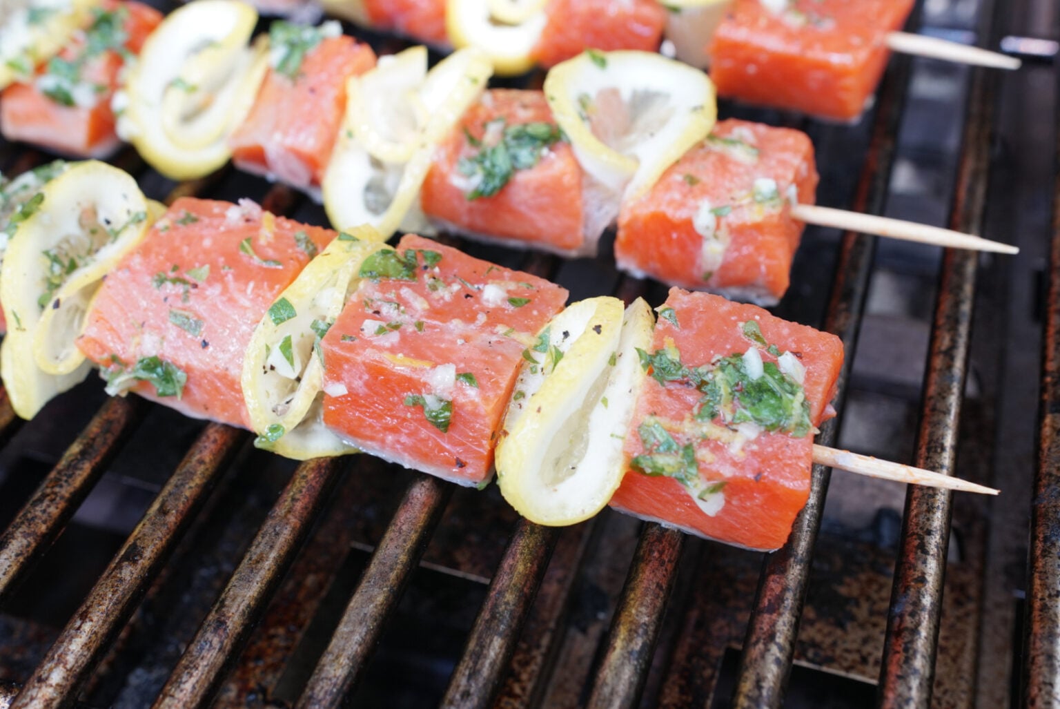MEDITERRANEAN STYLE GRILLED SALMON visual data 7