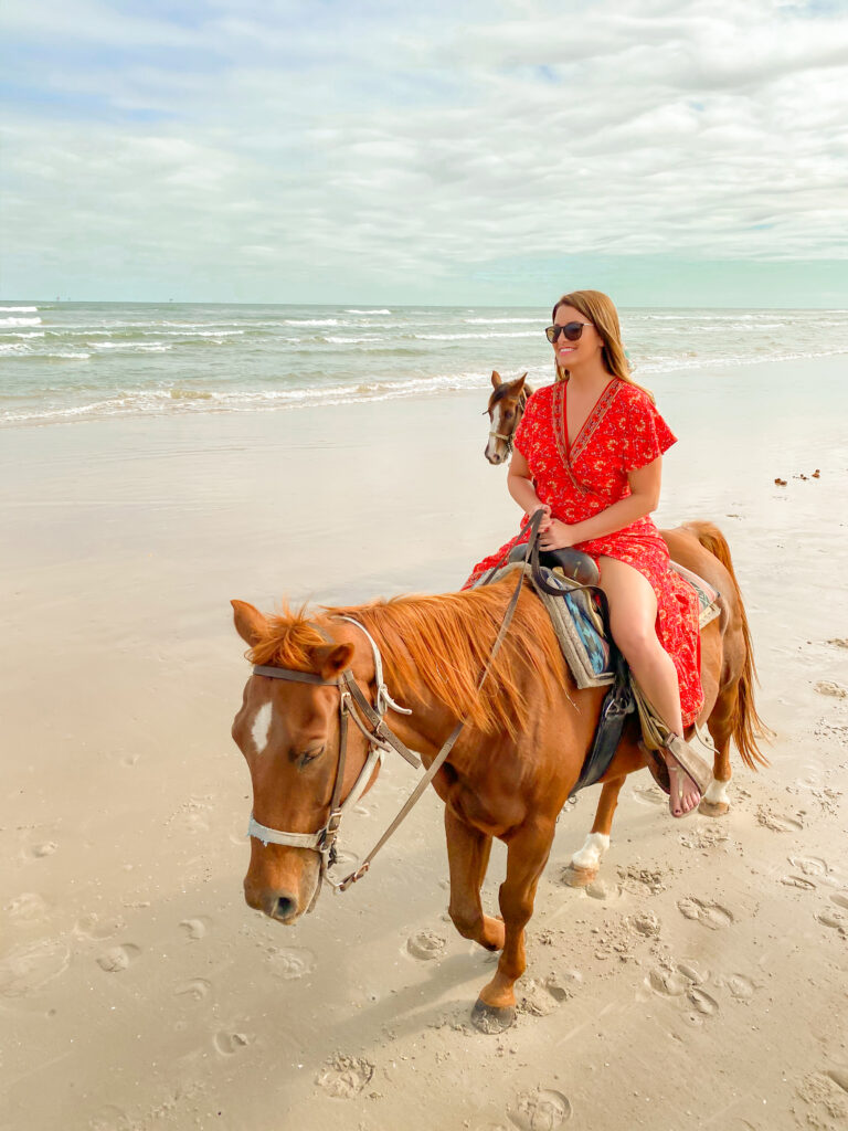 are dogs allowed at the beach in corpus christi texas