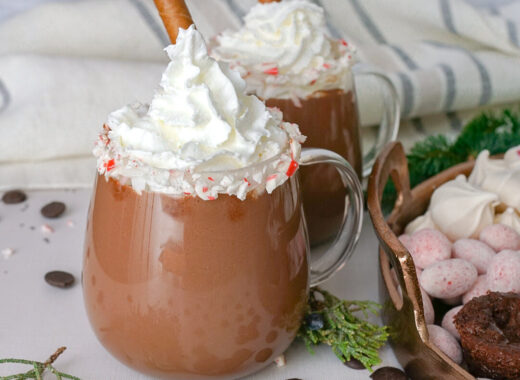 Crockpot Hot Chocolate Recipe
