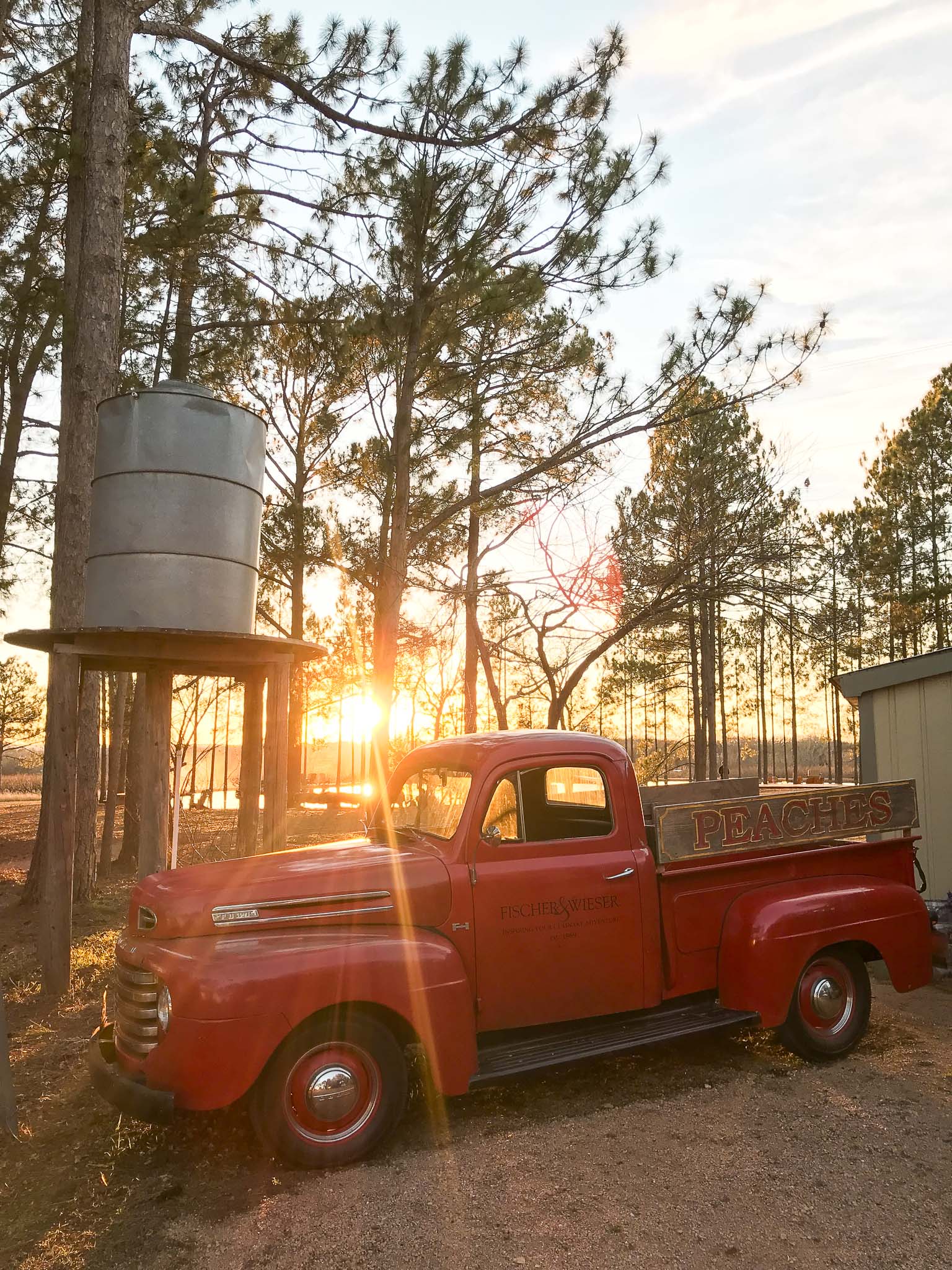 Peaches  Things to do in Fredericksburg, Texas