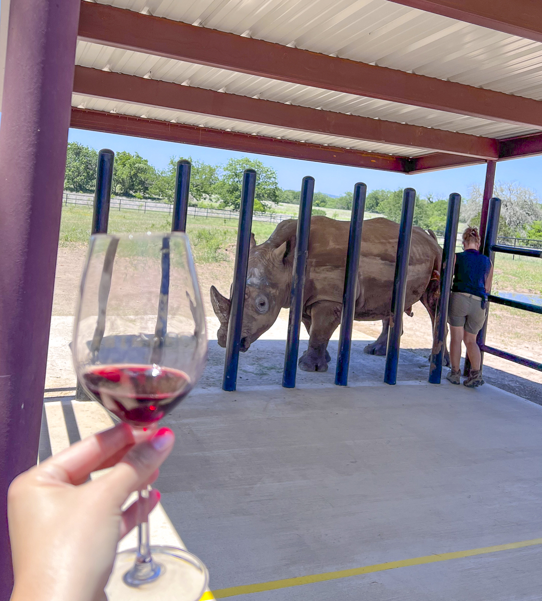 Top 10 Wineries in Fredericksburg Tx (and Nearby) Couple in the Kitchen