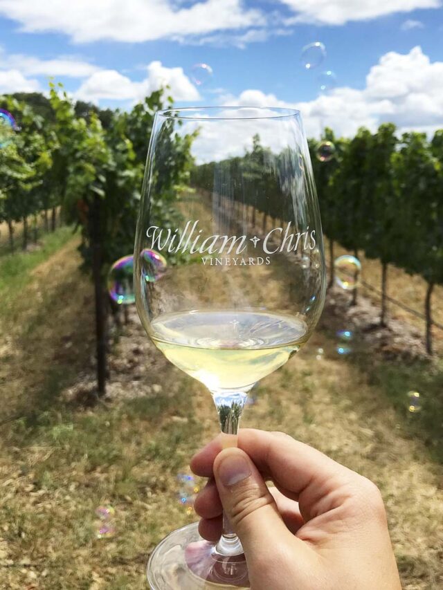 Top 10 Wineries in Fredericksburg TX Couple in the Kitchen