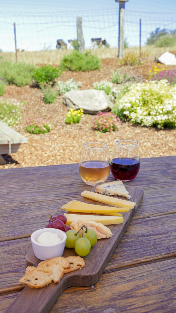 Cheese flight