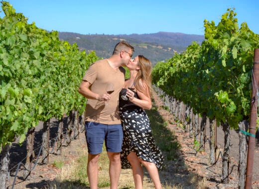 Sonoma County Winery