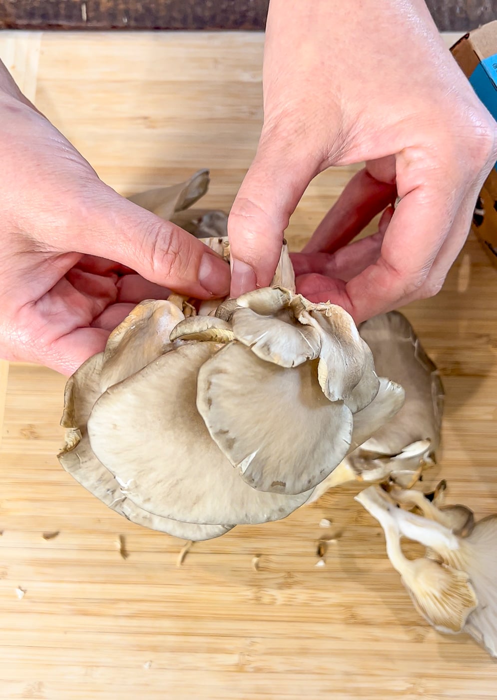 Blue Oyster Mushroom Bao Recipe Couple in the Kitchen