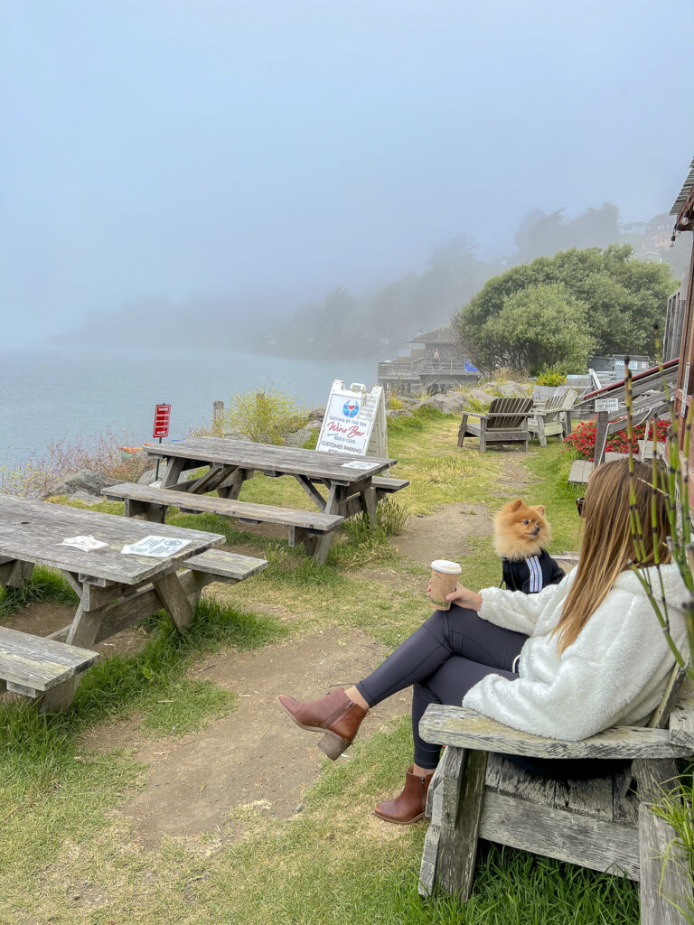 Picnic on the Sonoma County Coast.