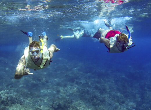 Maui snorkeling.