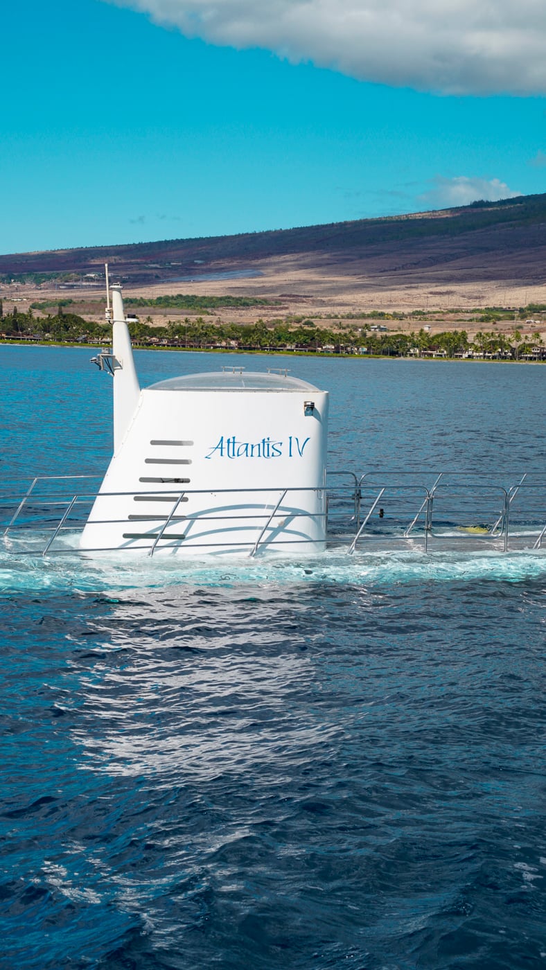 the-top-33-things-to-do-in-maui-for-couples-couple-in-the-kitchen