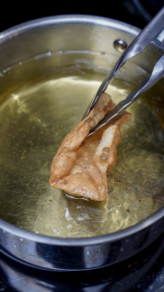 Fried Wonton Wrappers for Wonton Tacos.