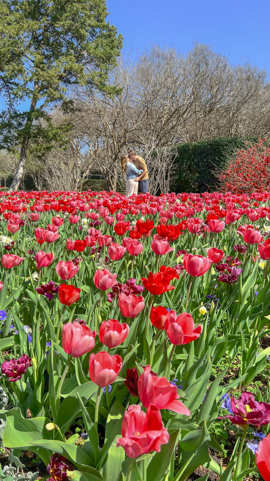 Five Great Things to do in Dallas in Spring | Couple in the Kitchen