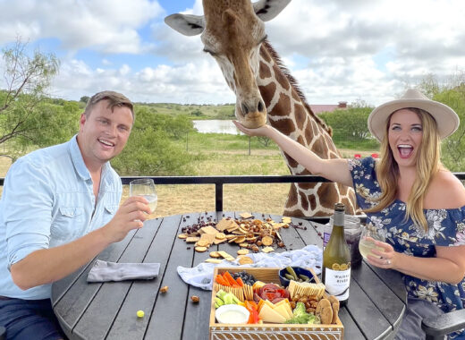 Giraffe dining experience at one of the top Drive Thru Zoos in Texas.