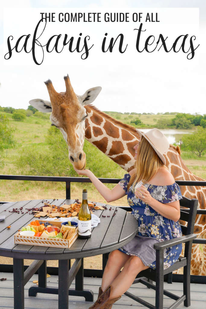 Giraffe dining experience at one of the top Drive Thru Zoos in Texas.