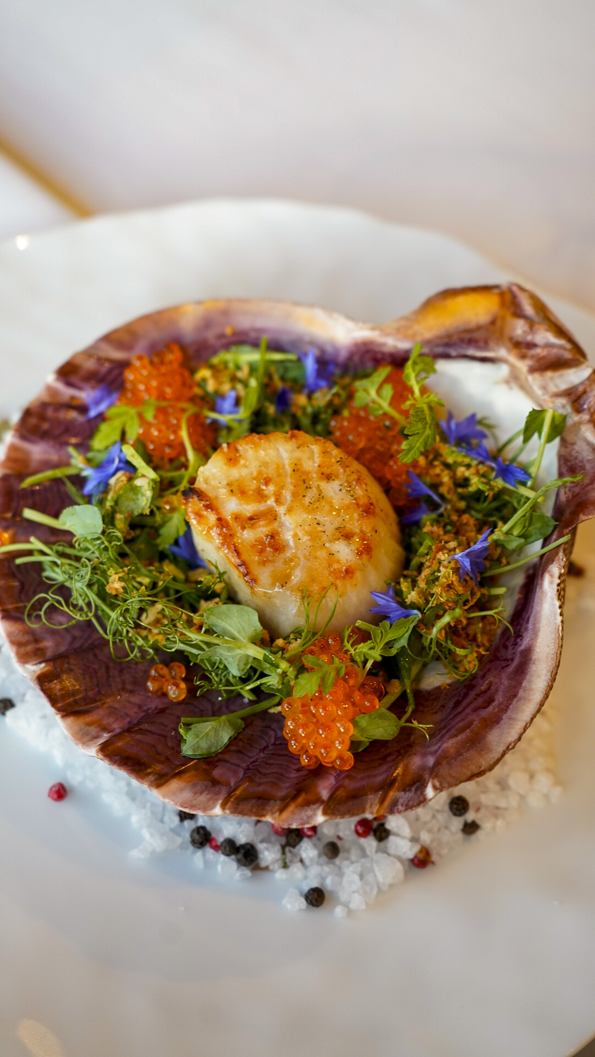 Sea scallops from the best seafood in Monterey County, California.
