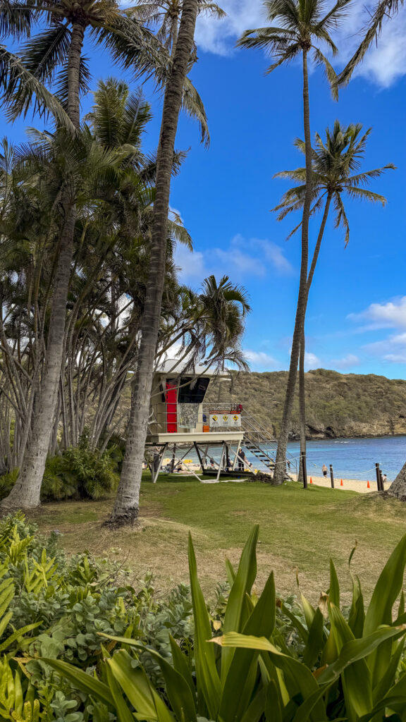 Lifeguard stand in Hanauma Bay in Oahu, Hawaii.