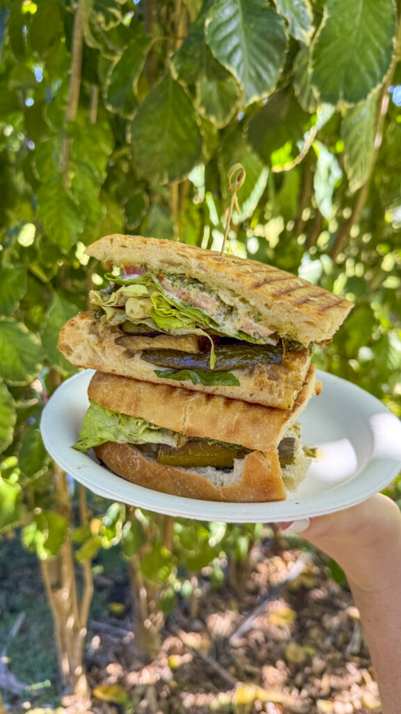 Veggie sandwich from Hahuku Farms in Oahu, Hawaii.