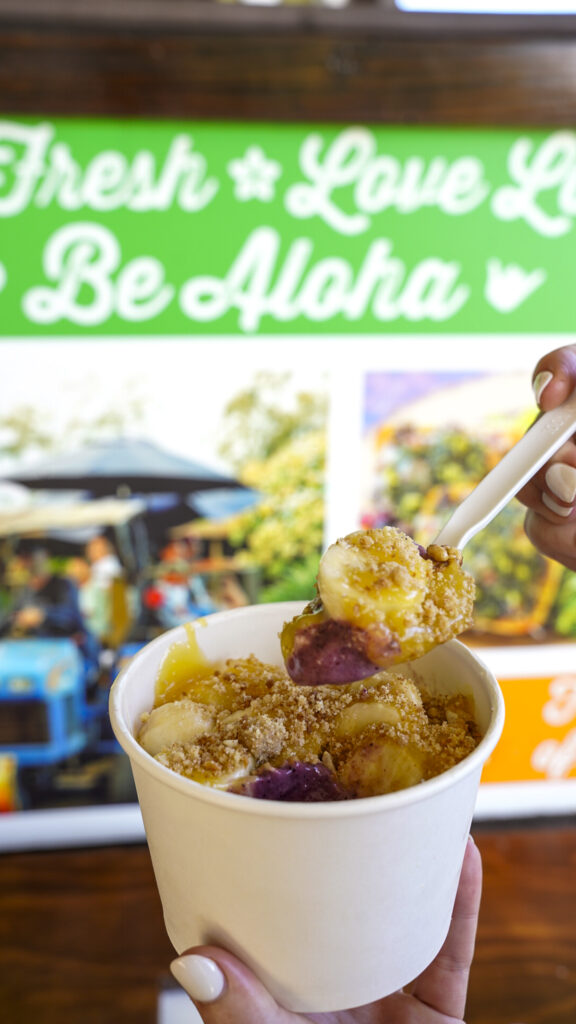 Acai bowl from a farm tour in Oahu, Hawaii.