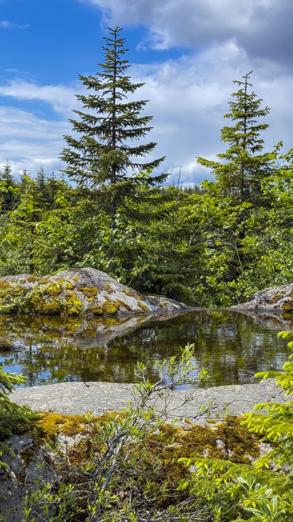 Scenery around Mendenhall Glacier, one of the best things to do in Juneau, Alaska.