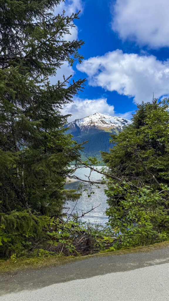 Scenery around Mendenhall Glacier, one of the best things to do in Juneau, Alaska.