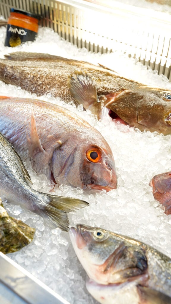 Fresh fish on display in Crete.