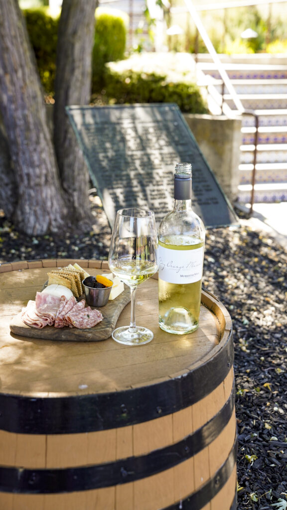 Wine and charcuterie board at a wine tasting, one of the best things to do in Livermore for couples.