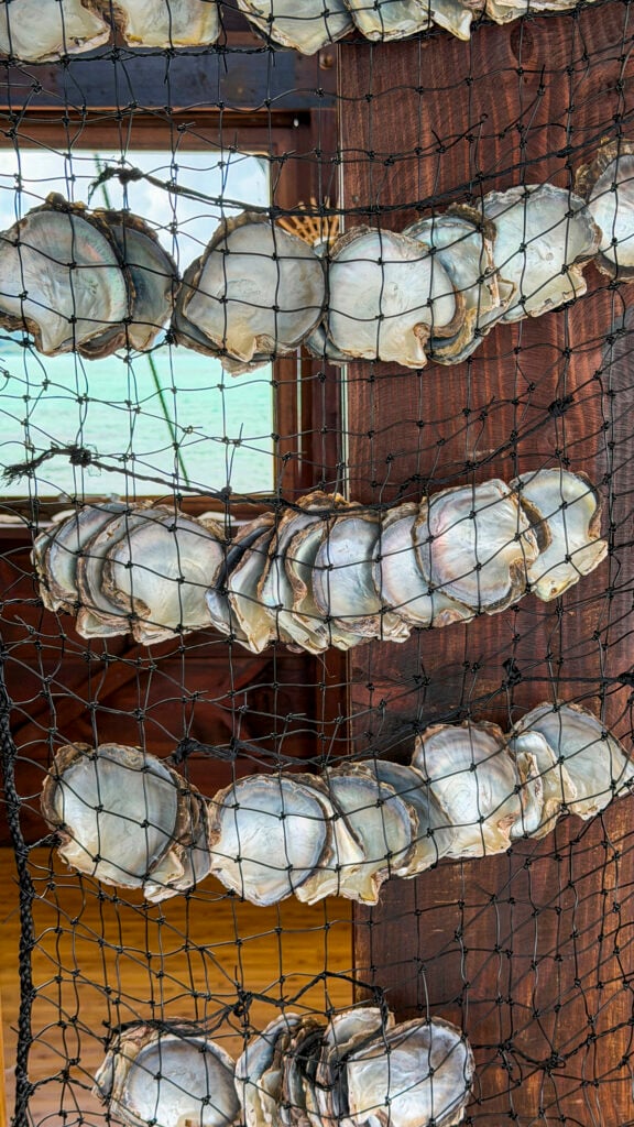 A pearl farm in Raiatea, a stop on the Windstar Tahiti French Polynesia cruise.