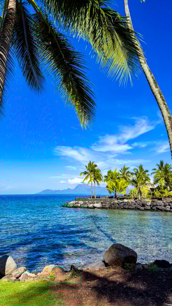 Palm trees in Papeete, a stop on the Windstar Tahiti French Polynesia cruise.