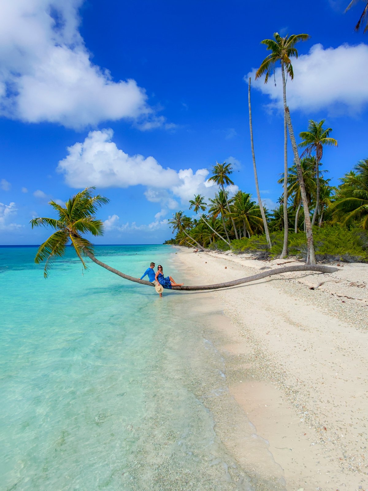 Couple laying on a palm tree in Fakarava, a stop on the Windstar Tahiti French Polynesia cruise.