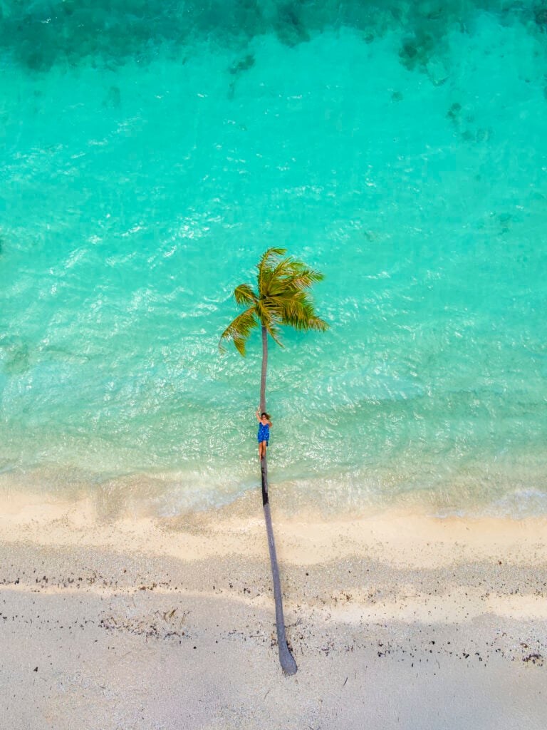 Woman laying on a palm tree in Fakarava, a stop on the Windstar Tahiti French Polynesia cruise.