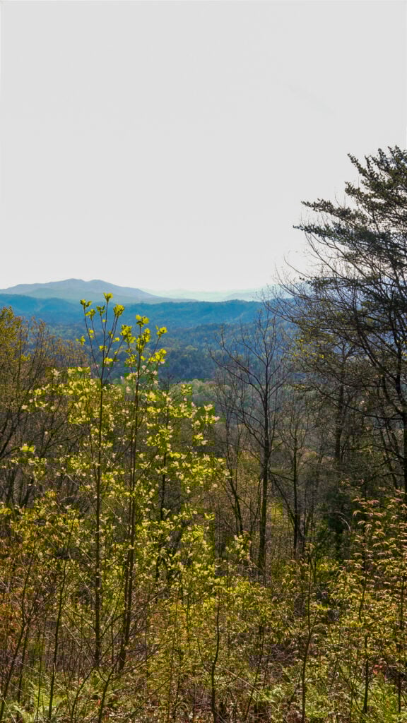 Smoky mountains in Tennessee.