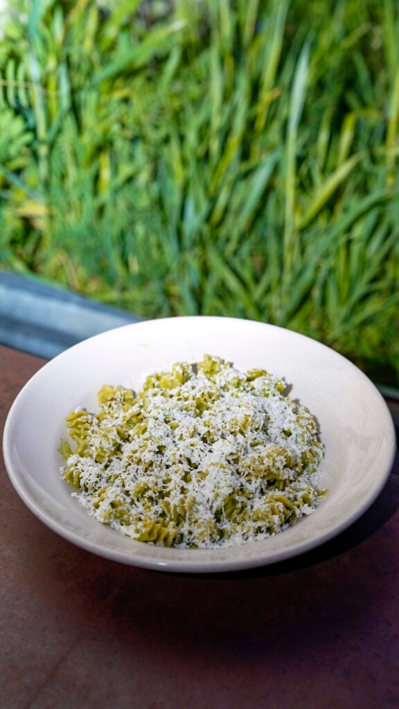 Pasta from Rolf and Daughters, a Nashville Michelin restaurant.