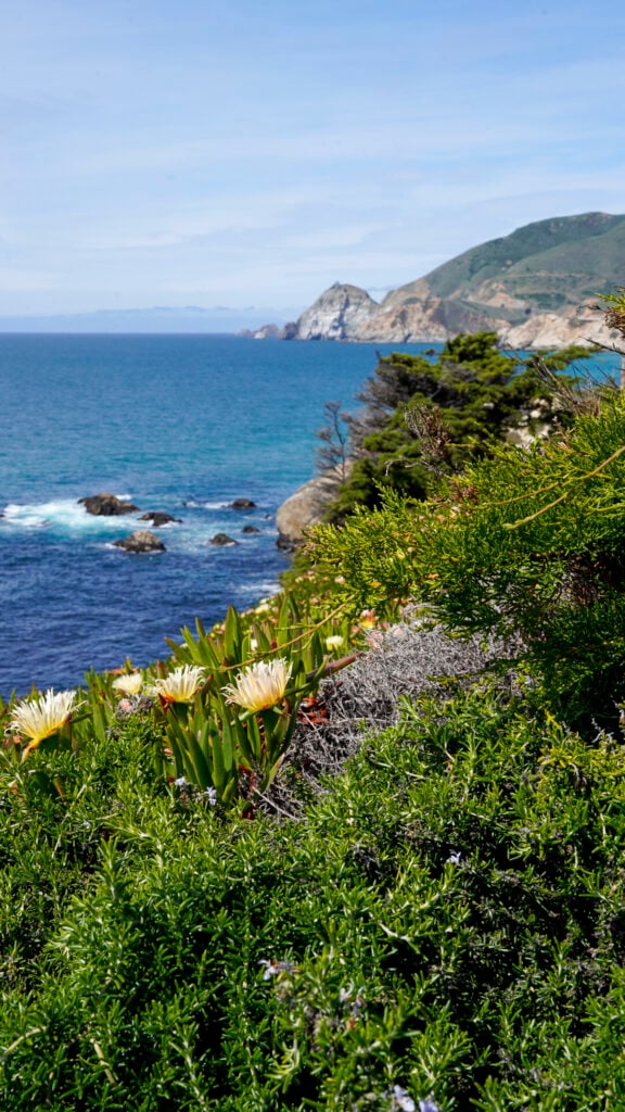 Coastline of the San Francisco Peninsula.