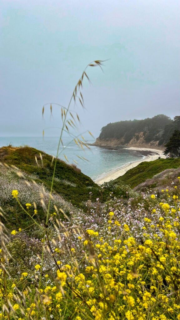 The cliffside beaches, one of the best things to do in Pescadero in the San Francisco Peninsula.