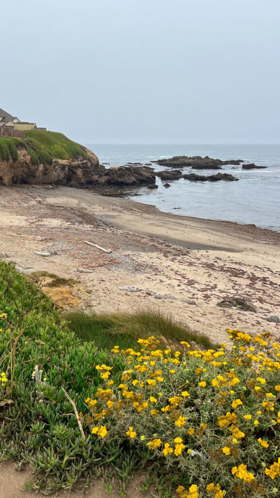 The beach near Pigeon Point Lighthouse, one of the best things to do in Pescadero in the San Francisco Peninsula.