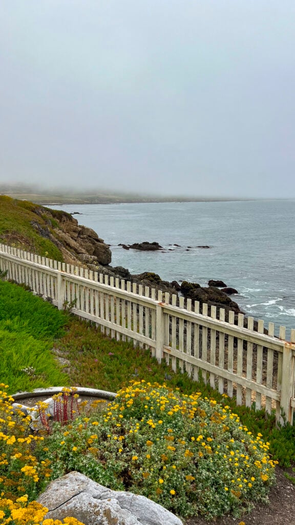The coast at Pigeon Point Lighthouse, one of the best things to do in Pescadero in the San Francisco Peninsula.