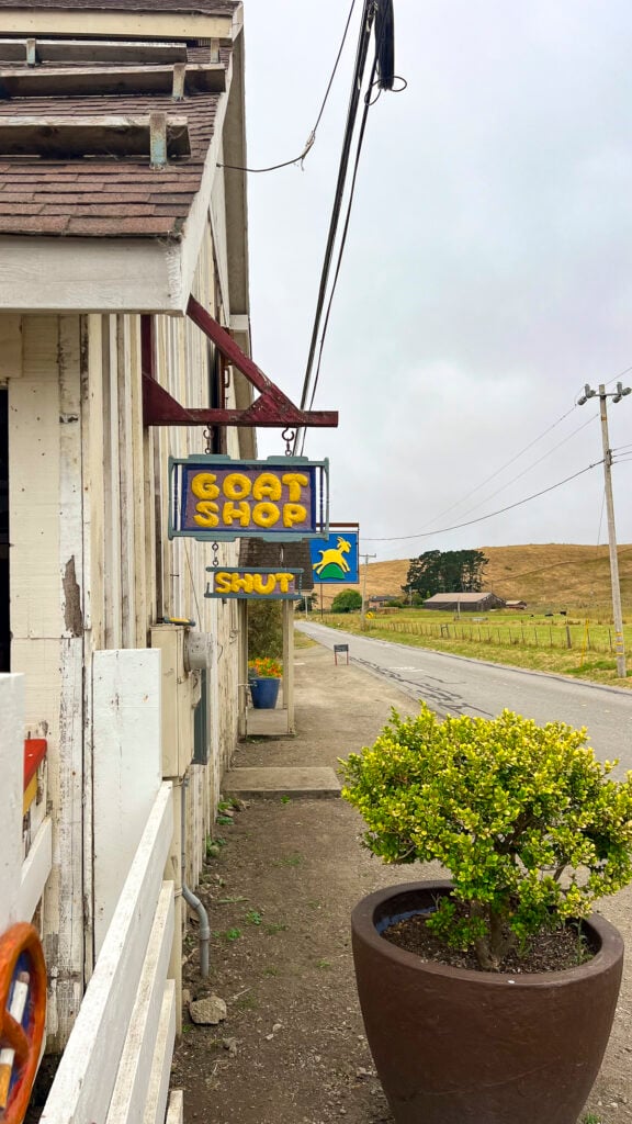 Goat Farm - one of the best things to do in Pescadero, California.