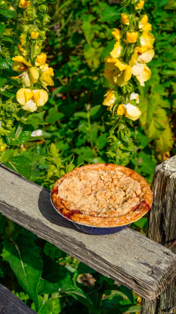 Pie at Pie Ranch, one of the best things to do in Pescadero in the San Francisco Peninsula.
