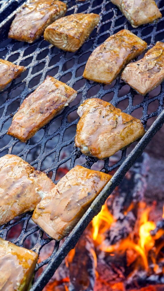 Fish on the grill at the Great Alaska Salmon Bake in Fairbanks Alaska in summer.
