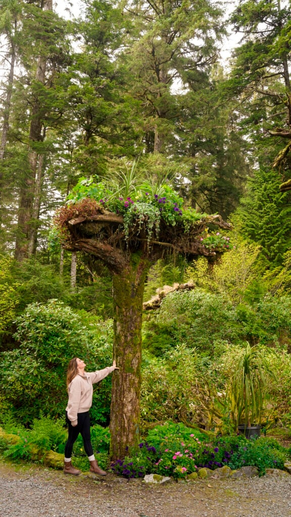 Women at a tree in Glacier Gardens - Things to do in Juneau Alaska from a cruise ship