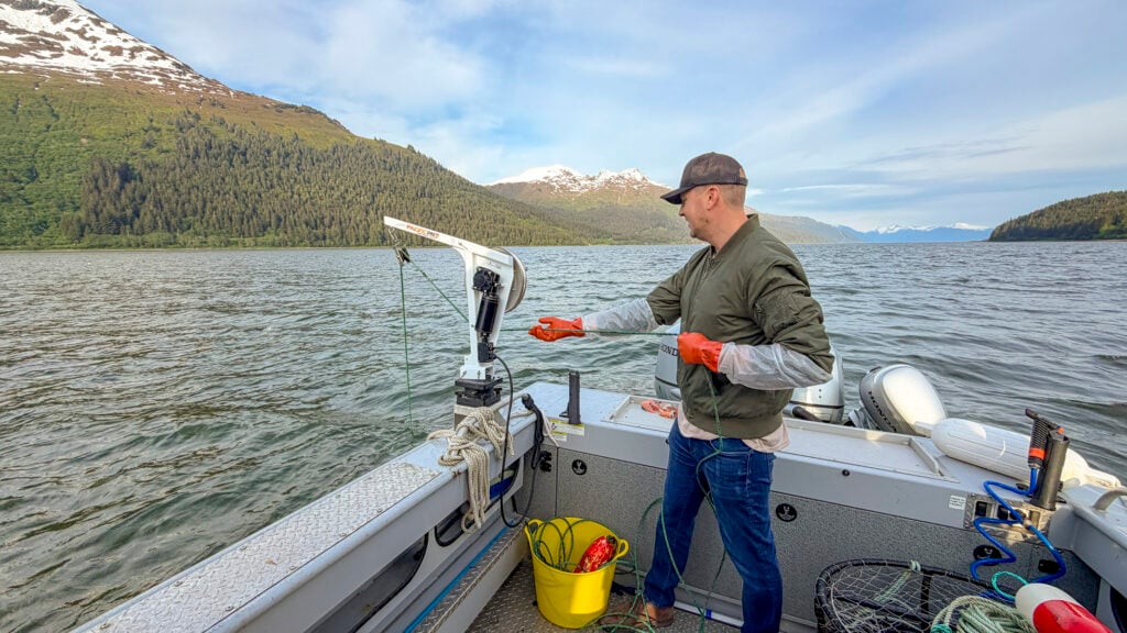 Man pulling a crab pot up from the ocean with the Into Alaska crabbing tour in Juneau, Alaska.