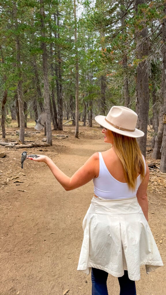 Woman hiking Chickadee Ridge near Lake Tahoe.