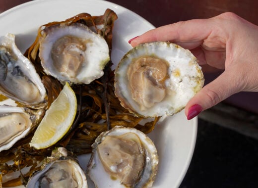 Irish native oyster.