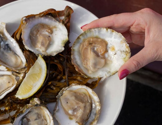Irish native oyster.