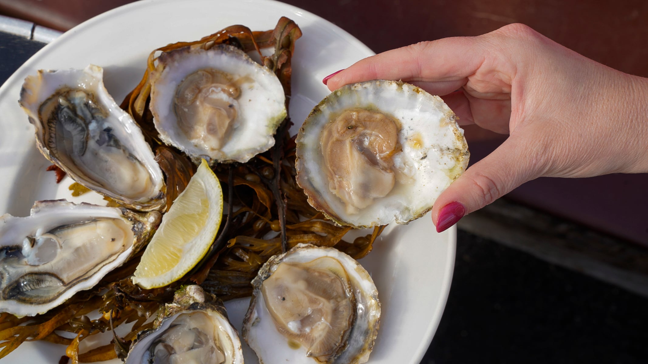 Irish native oyster.