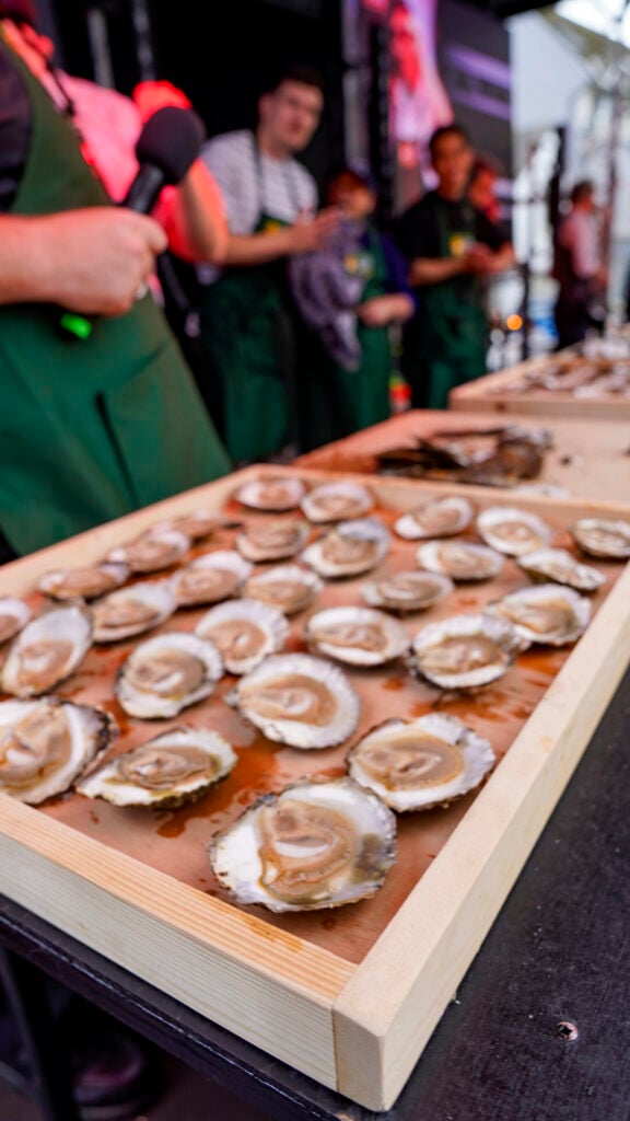 Galway oyster festival shucking competition.