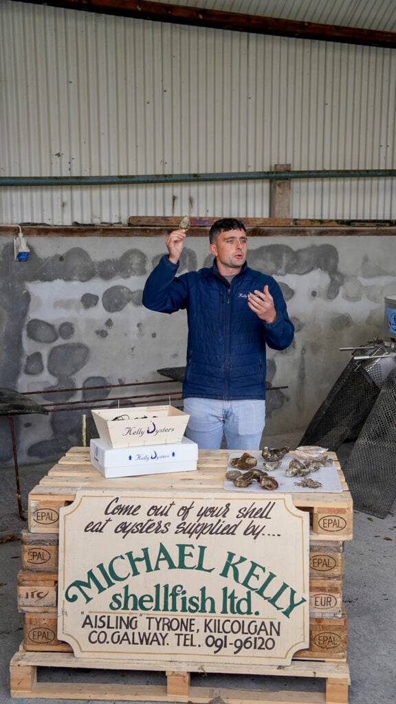 Kelly oyster farm tour.